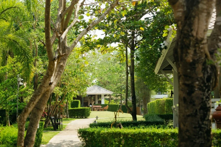 Garden pathway at a rehab centre in Chiang Mai, Thailand