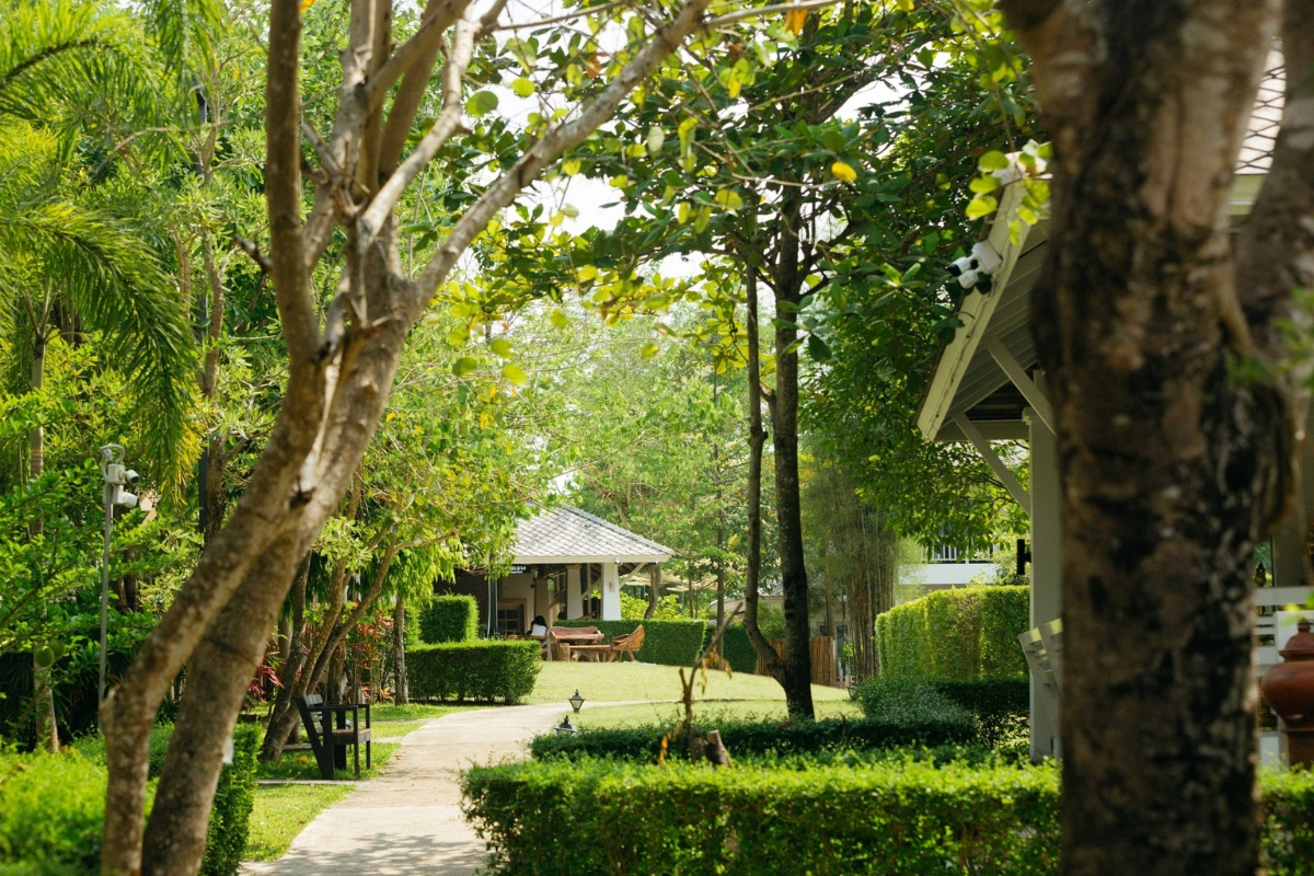 Garden pathway at a rehab centre in Chiang Mai, Thailand