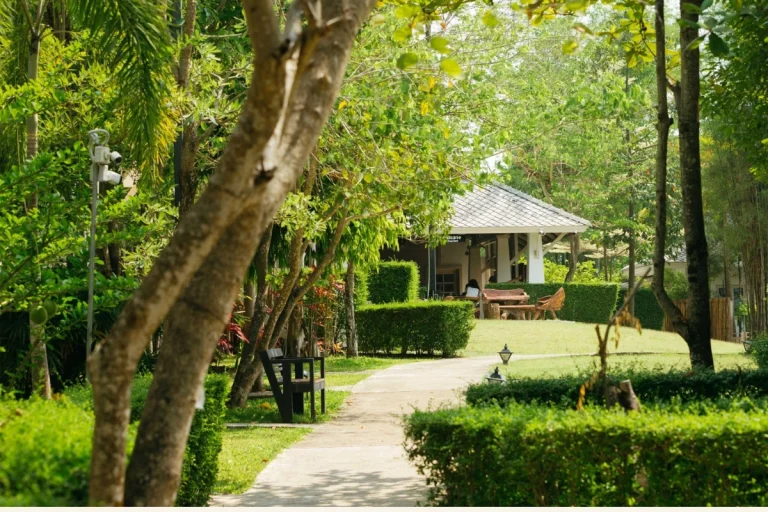 Calm therapeutic setting at a licensed trauma treatment centre in Chiang Mai, Thailand