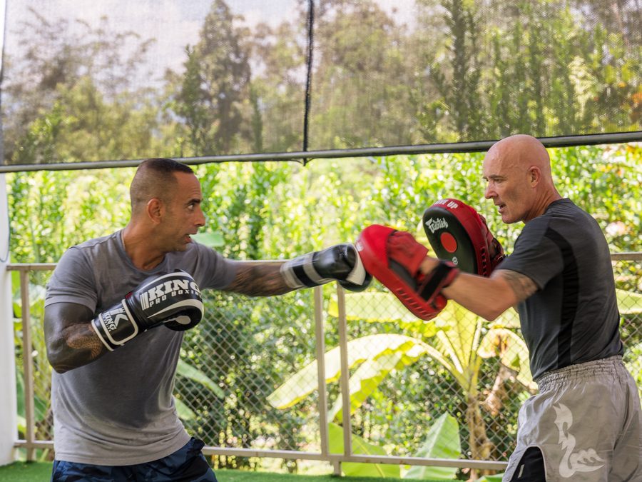Boxing training