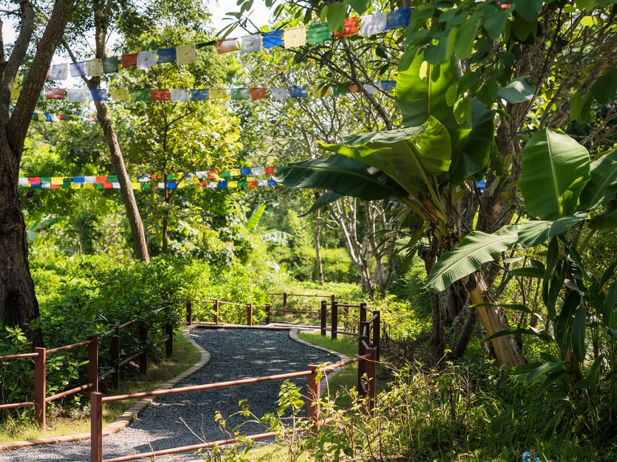 A gravel path through the grounds, hung with prayer flags