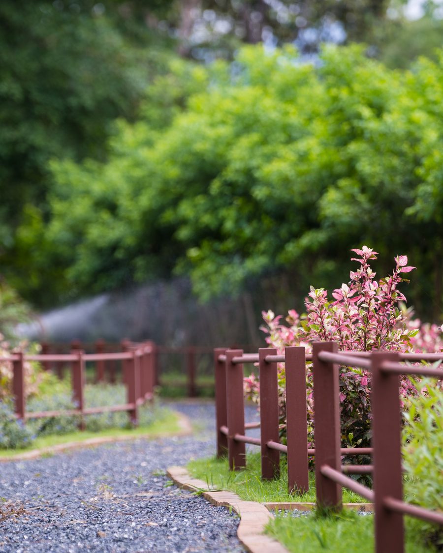 A gravel path curving past a planted border in the botanical gardens