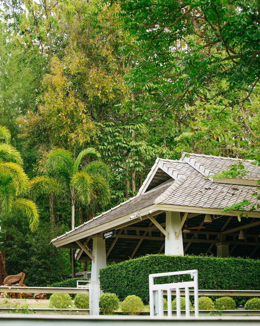 The tiled roof of an open-sided sala among the palms and trees of the grounds