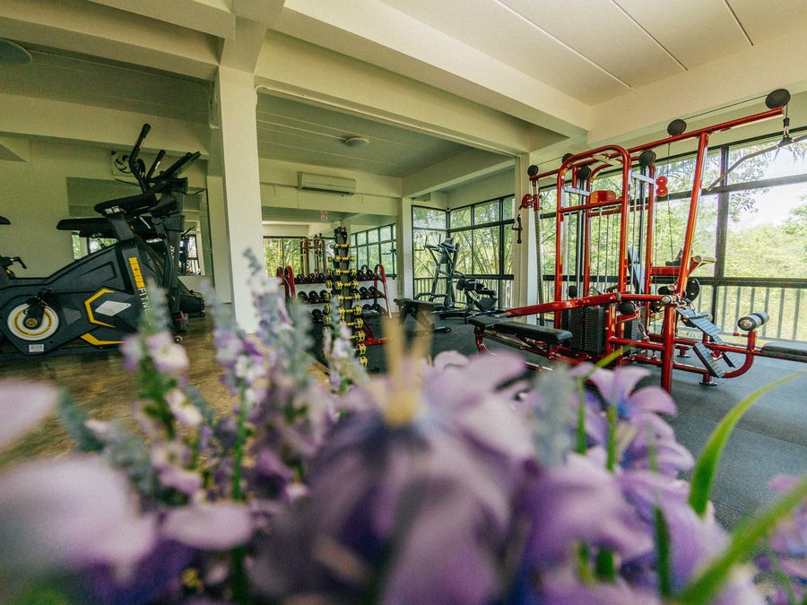 The gym and fitness equipment