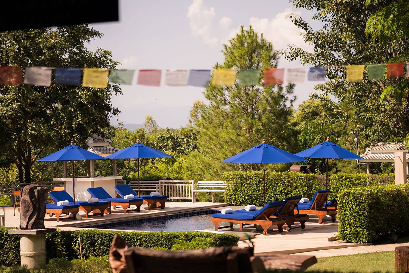 The swimming pool