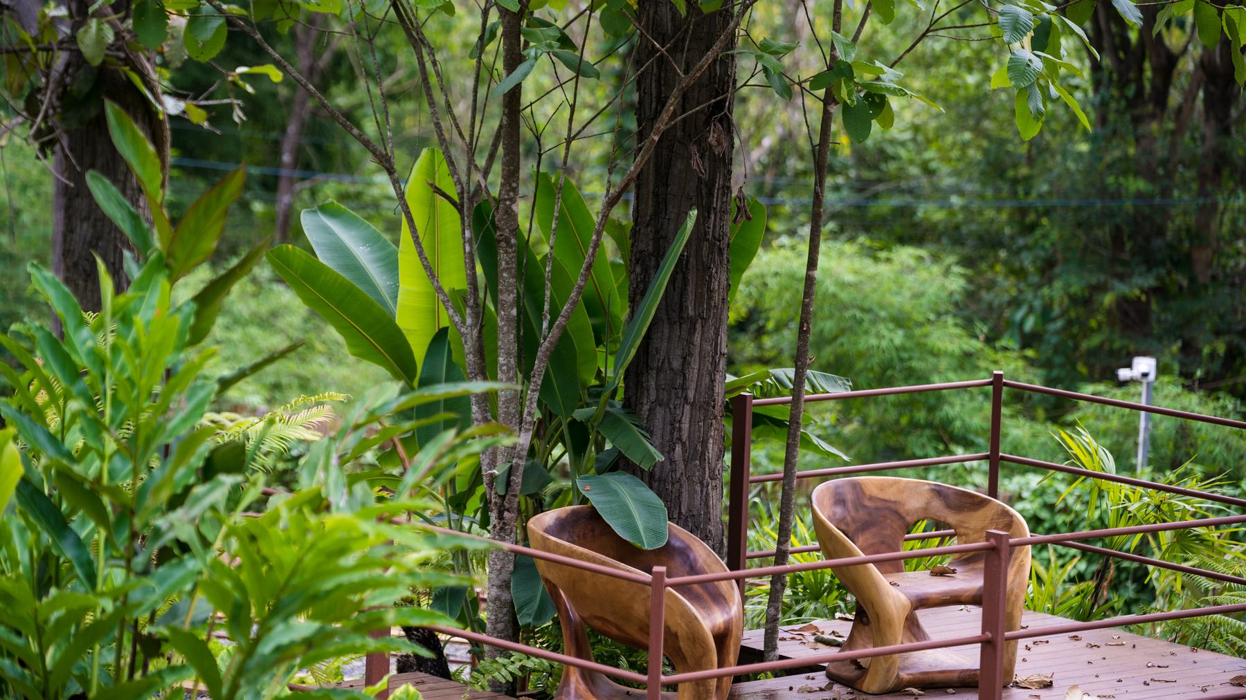 Two carved teak chairs turned towards each other on a railed timber deck among the trees